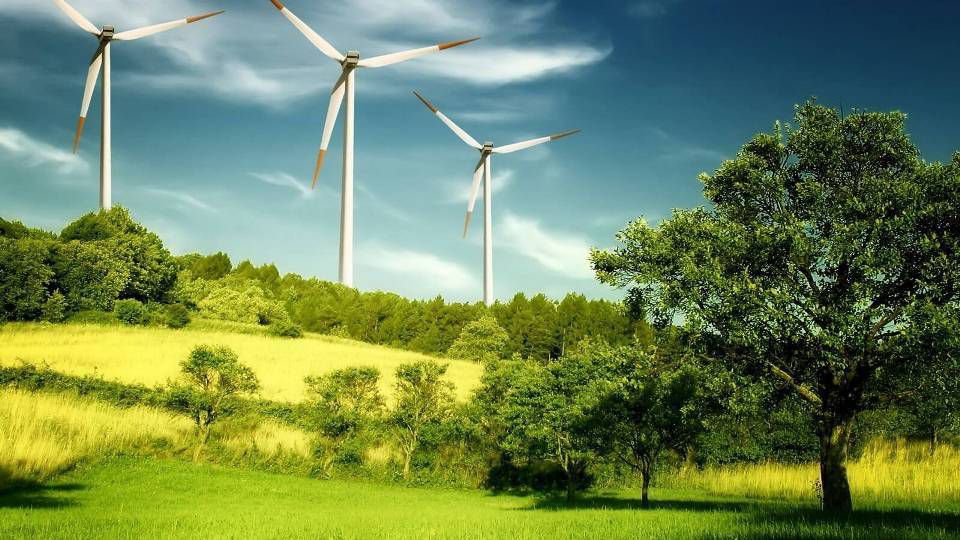 Всесвітній день вітру відзначають 15 червня. Цей день присвячений вітроенергетиці та її розвитку.