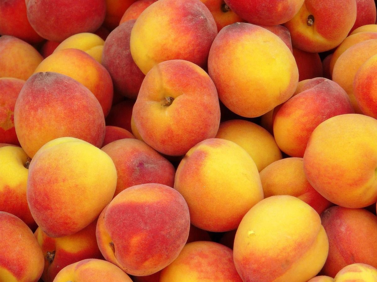 справжня скарбниця вітамінів: фахівці перерахували корисні властивості персика