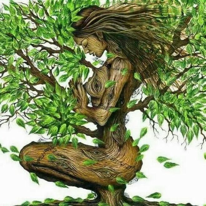 На думку вчених, дерева відчувають емоції, біль і вміють дружити. Мало того, що у дерев є розум, — вони володіють навіть деяким аналогом серцебиття.