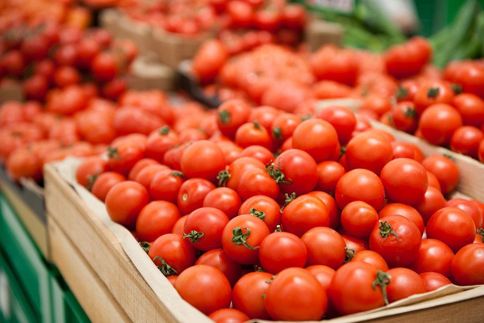 В Україні істотно подорожчали помідори: головна причина. Фахівці стверджують, що ціна буде продовжувати рости до кінця місяця.