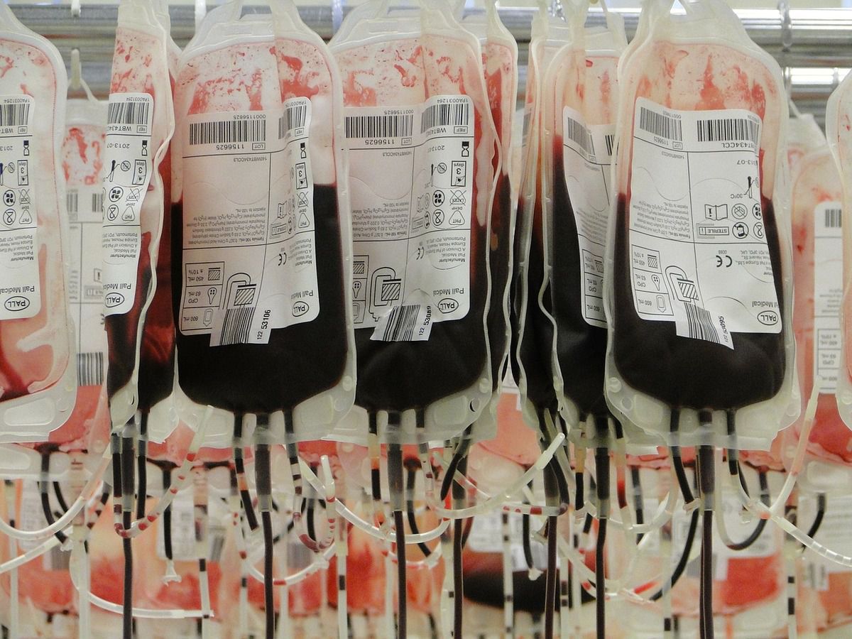 Медики назвали найбільш небезпечну групу крові. Британські вчені назвали групу крові, яка таїть масу загроз.