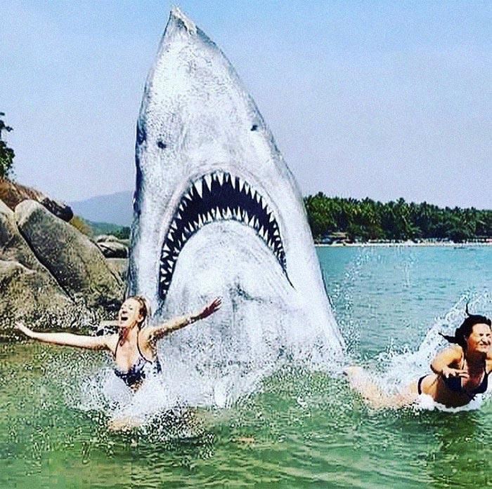 Хлопець перетворив камінь в реалістичну акулу і тепер вона зірка туристичних фотографій. І все завдяки фільму «Щелепи».