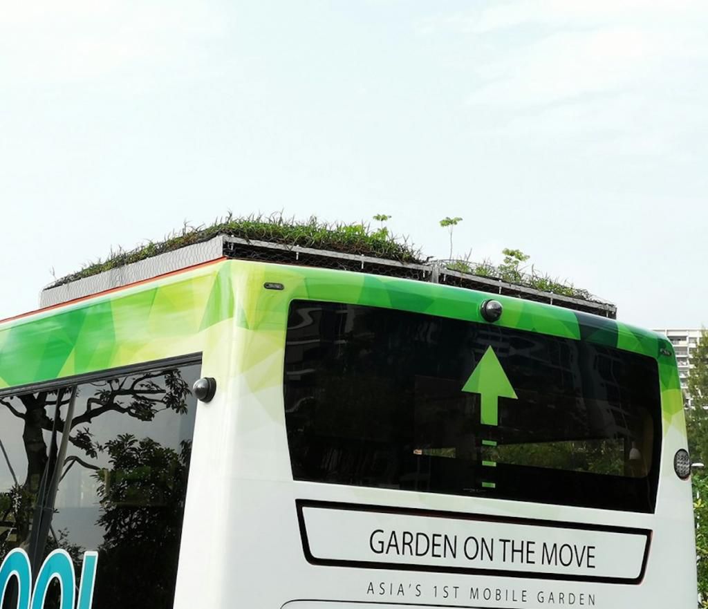 В Сінгапурі тестують автобуси з травою на дахах, щоб охолодити повітря в салоні без кондиціонера. Вчені придумали цікаве рішення по боротьбі зі спекою в салоні автобуса.