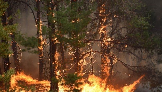 У Луганській області загорівся замінований ліс. Гасіння пожежі заборонено проводити оскільки територію заміновано. Піротехніки ДСНС проводять роботи з розмінування місцевості.