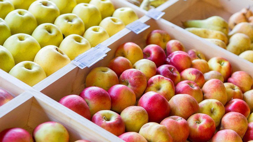 У нинішньому сезоні яблук буде менше, а ціни — вищі, причиною цьому є низька врожайність в садах України. Аналітики дали прогноз.