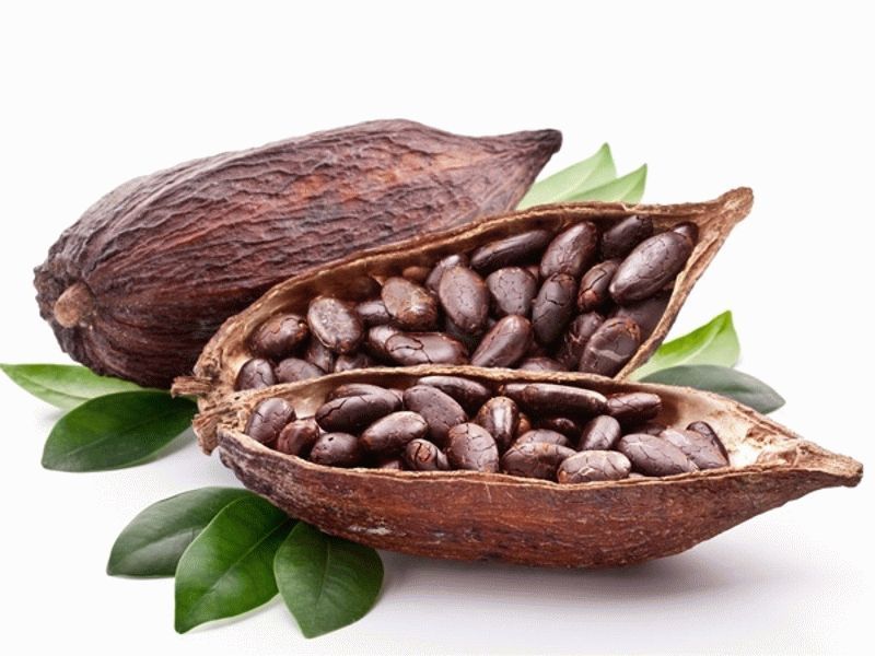 Вчені знайшли ще одну причину любити шоколад. В шкаралупі какао-бобів були виявлені з'єднання, що спалюють жир.