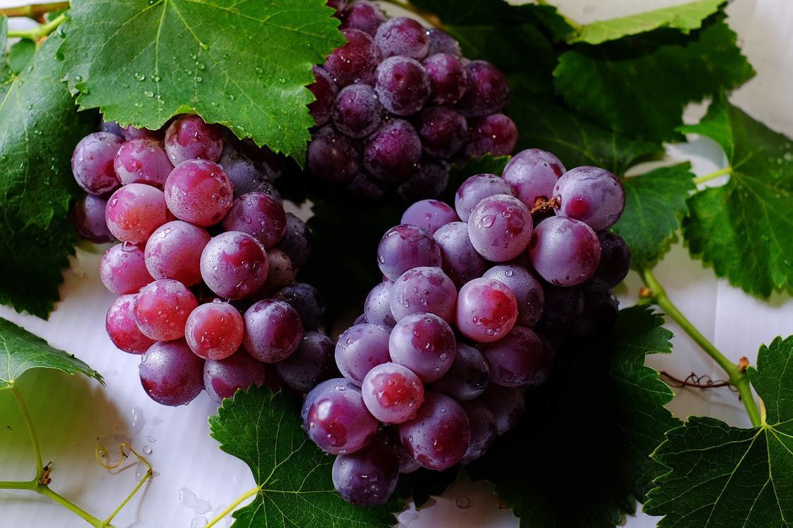Врожайність винограду: важливість дбайливого захисту