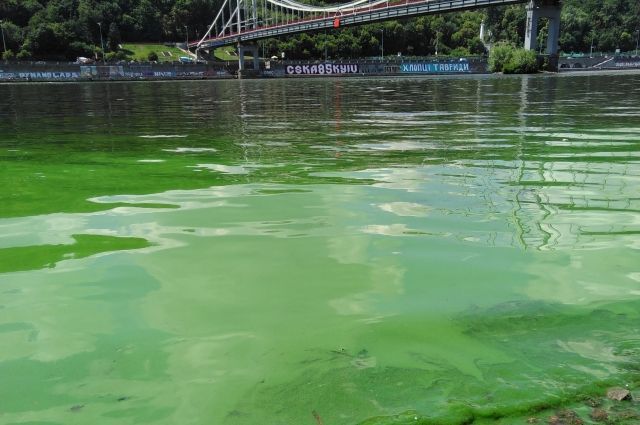 Вода в Дніпрі стала густою і липкою, наче кисіль: купатися заборонено. Тепер в цій річці неможливо купатися і навіть небезпечно.