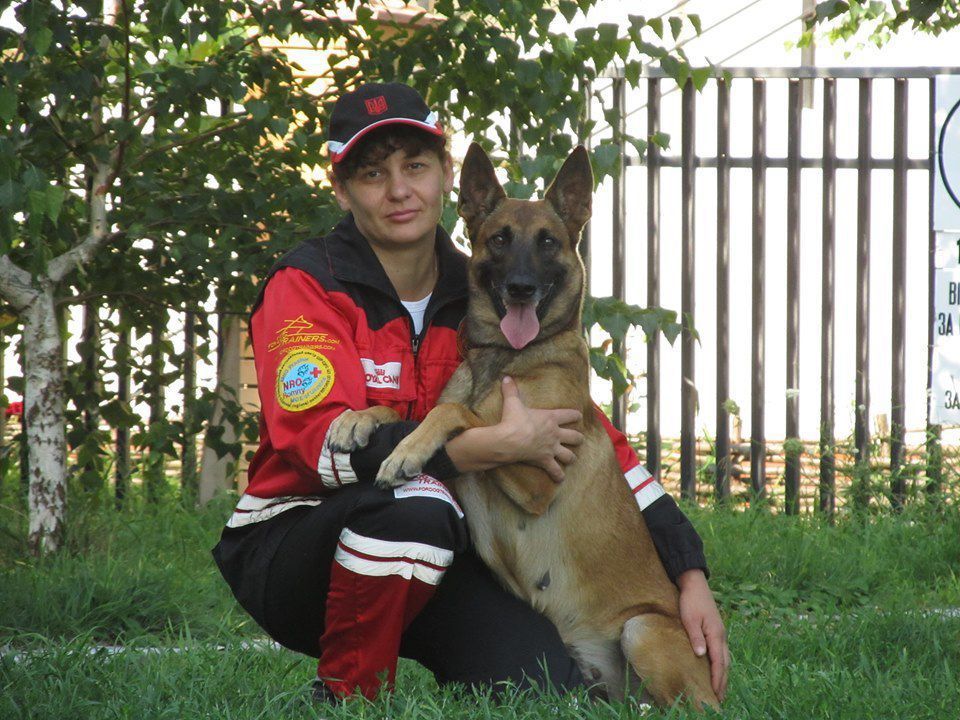 Українські собаки-рятувальники ввійшли до сотні кращих у світі. Кінологічні групи українських рятувальників ввійшли до сотні кращих у світі за версією Міжнародної організації рятувальних собак.