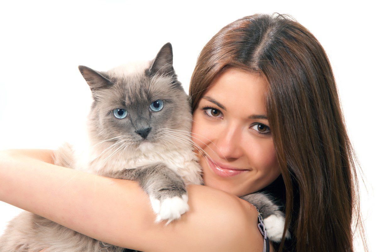 Фахівці вважають, що певна поведінка кішки може показати, до кого вона відчуває любов. Існує декілька ознак котячої любові до людини.