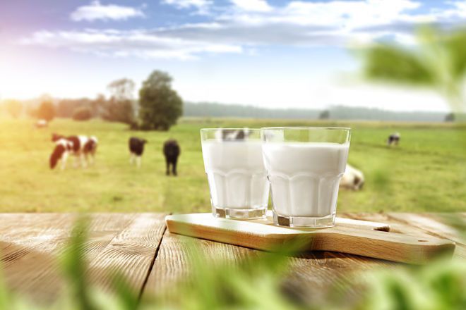 Голландська компанія запускає першу в світі «плавучу ферму» в міському порту. В Роттердамі відкривається молочна ферма з метою забезпечення городян молоком.