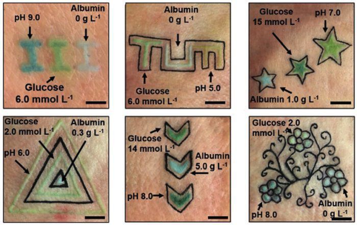 Створено технологію біосенсорних «татуювань» для визначення рівню глюкози, альбуміну та pH в організмі. Вони змінюють колір залежно від зміни рівнів глюкози, альбуміну та pH в організмі.