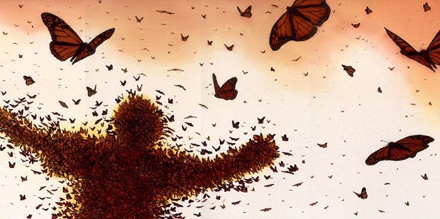 В будинок залетів метелик: прикмета розповість, чого чекати. Існує велика кількість забобонів, пов'язаних з метеликами, які можуть попереджати і про погані події, і про хороші.