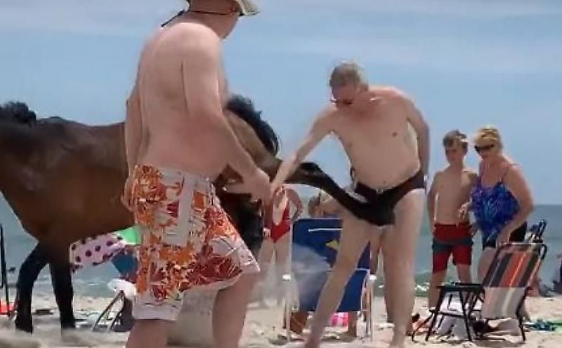 Чоловік проігнорував попереджувальні знаки на пляжі, не гладити тварин, та заплатив дуже хворобливу ціну. Відпочинок на пляжі пішов як-то не так для цього любителя тварин.