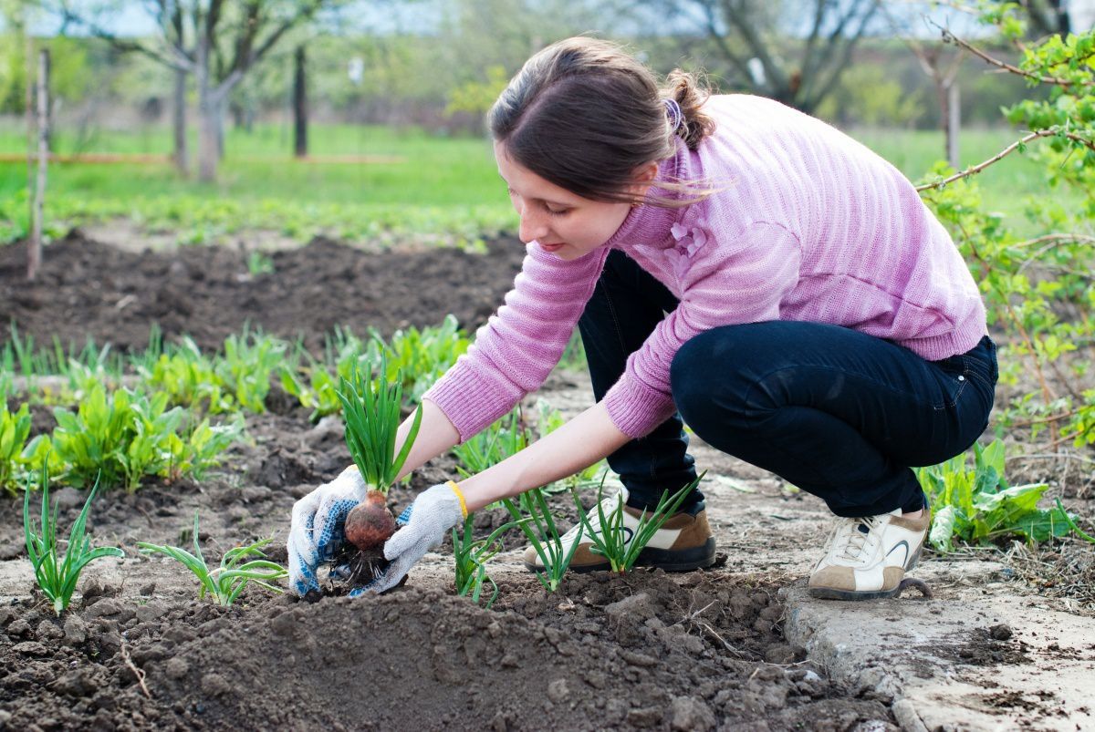 Як спростити собі роботі у городі: 7 корисних порад. Працювати в саду можна менше.