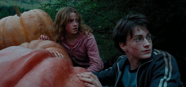 Фрагмент з фільму "Гаррі Поттер" став надихаючим фактором для створення останньої серії "Месників". Стрічка про "Гаррі Поттера" допомогла сценаристам реалізувати ідею про останніх "Месників".