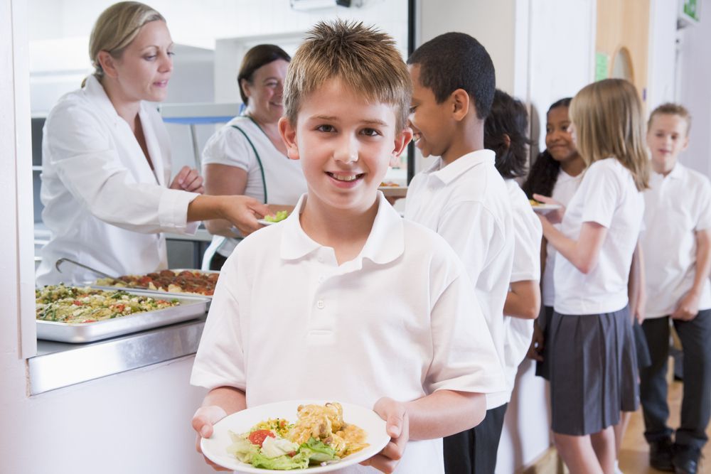 Правильне харчування школярів — скільки і чого саме потрібно дитячому організму. Для гарного навчання школяр повинен правильно харчуватися.