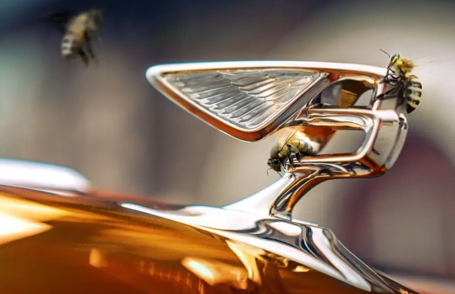 Bentley займеться виробництвом меду. На периферії кампусу Bentley в Крю встановлені два вулики на 120 тисяч медоносних бджіл.