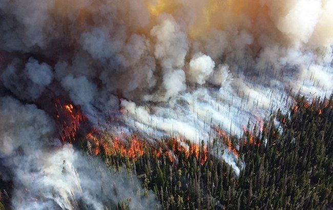 Дим від пожеж в Сибіру вже досяг США і Канади. У період з 23 по 30 липня НАСА зареєструвало 262067 джерел пожеж в Росії.