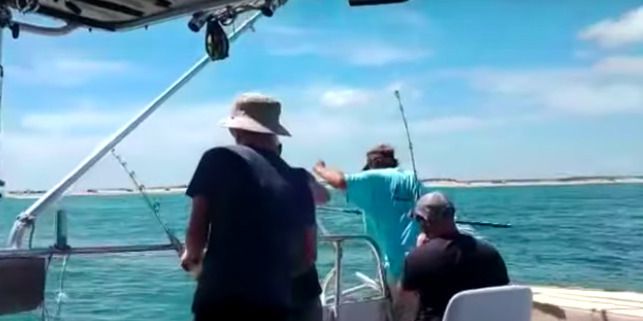 Рибалка американців ледь не закінчилася трагічно — акула, яку вони спіймали вчепилася в ногу одного з чоловіків. Відео інциденту.