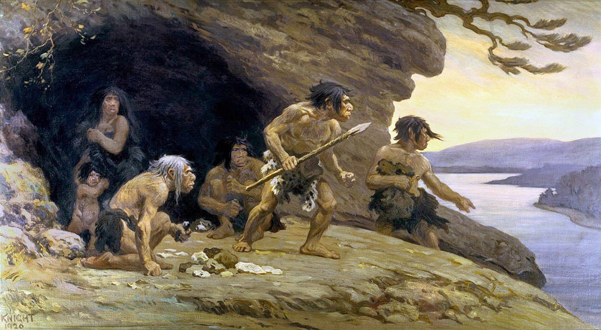 Археологи знайшли в Польщі знаряддя неандертальців. Було знайдено понад 200 знарядь, створених близько 40 тис. років тому.