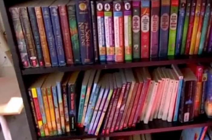 Дівчинка, якій лише 10 років, прагне прищеплювати іншим дітлахам любов до читання, для чого вдалася до створення справжньої бібліотеки. Ідея дівчинки виявилася досить оригінальною.