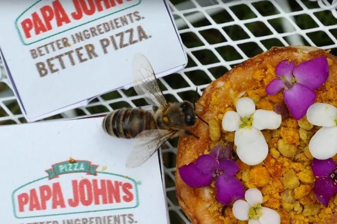 Papa John's створили першу в світі піцу для бджіл. Без бджіл не існувало би піци.
