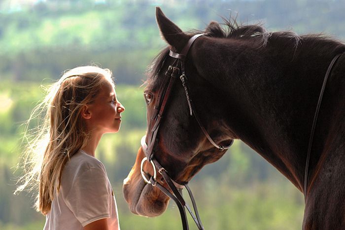 Іпотерапія: які проблеми зі здоров'ям можна вирішити за допомогою катання на конях. Така терапія допомагає вилікувати не лише психологічні проблеми, але й деякі фізичні недуги.
