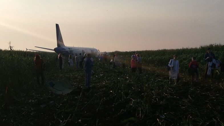 У Росії літак екстрено приземлився прямо в кукурудзяному полі. Пасажирський літак Airbus A-321 здійснив жорстку посадку.