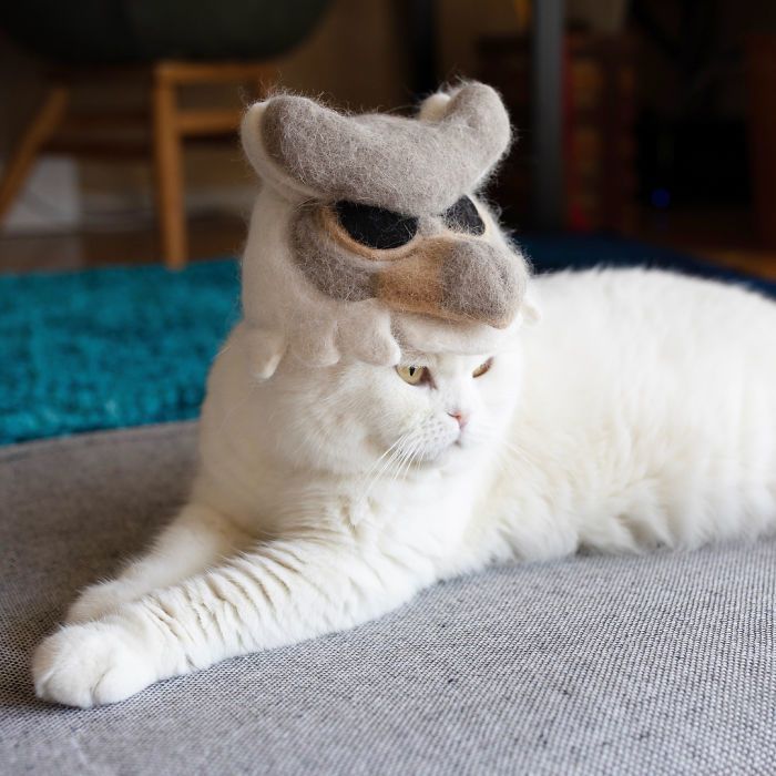 Японський художник-кошатник придумав собі вельми корисне хобі з котячої шерсті. У цих чудових капелюшків для кішок є один важливий секрет.