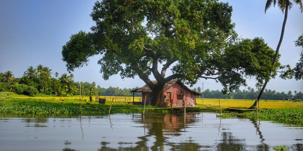 Індію затопили мусонні дощі, більше ніж 200 осіб загинули. Кількість опадів на 45% більша, ніж зазвичай у цей період.