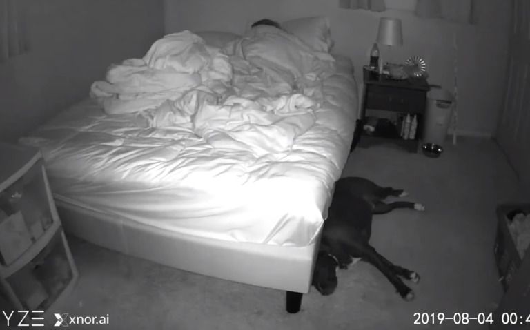 Дівчина встановила камеру над ліжком, щоб дізнатися, що робить її пес по ночах. Кожну ніч песик приходить спати до господині у ліжко. Дівчина думала, що причиною її поганого сну став вихованець, але вона помилялася...
