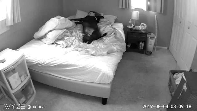 Дівчина встановила камеру над ліжком, щоб дізнатися, що робить її пес по ночах. Кожну ніч песик приходить спати до господині у ліжко. Дівчина думала, що причиною її поганого сну став вихованець, але вона помилялася...