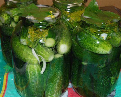 Рецепт солоних хрумких огірків на зиму з горілкою. Традиційні солоні огірки на горілці. Особливий рецепт приготування.