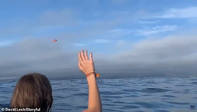 Пілот і пасажирка літака, який впав посеред океану, знімали на камеру все, що з ними відбувалося. Історія виживання.