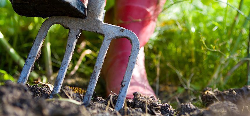 Переваги та недоліки перекопування ґрунту восени. Проводити його чи ні — вирішувати вам.