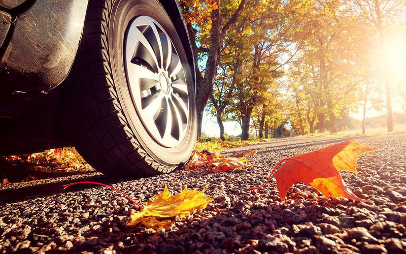 До яких складнощів потрібно бути готовим водію восени, особливо якщо він початківець. 11 факторів, про які водієві треба пам'ятати.