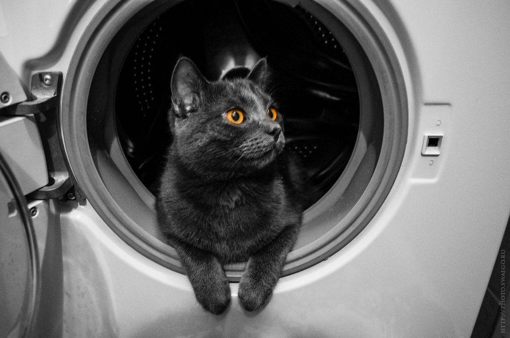 9 речей, які категорично не можна класти в пральну машину. Речі, які не можна прати у пральній машині.