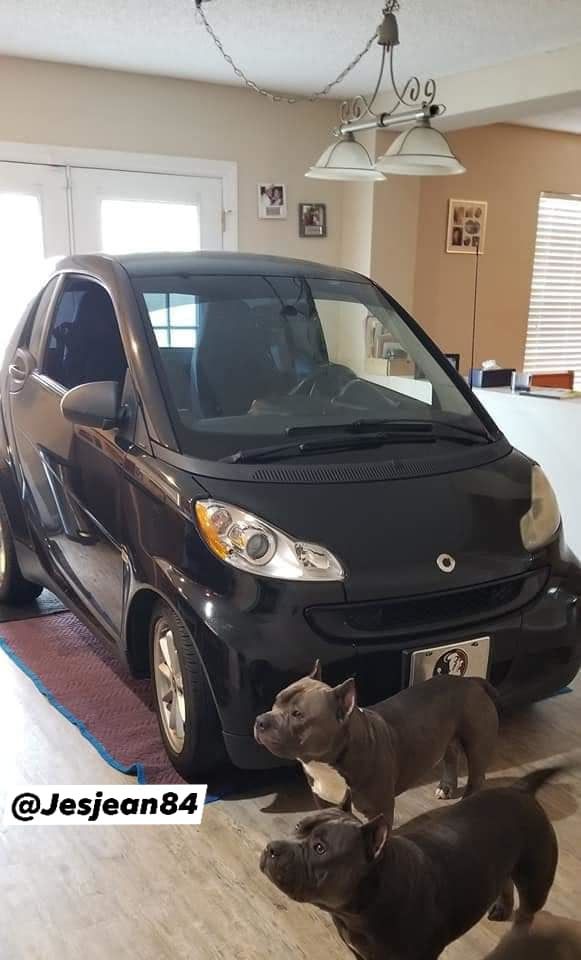 Чоловік припаркував машину на кухні, щоб захистити її від урагану. Американець оригінальним способом врятував свій Smart.