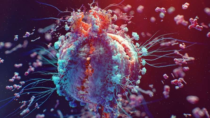 Відкриття вчених: ракові клітини гинуть в невагомості без дії будь-яких ліків. Під впливом гравітації від 80% до 90% злоякісних клітин зникає.