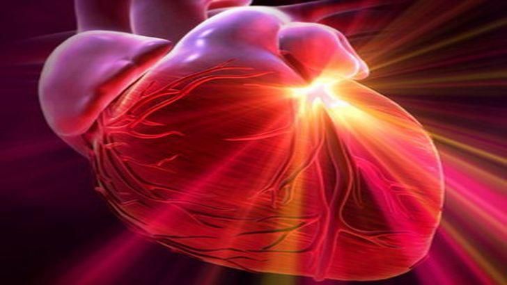 Вчені з'ясували, як відновити клітини серця. Вчені з Південно-Західного медичного центру Техаського університету розкрили молекулярні механізми, завдяки яким новонароджені мишенята здатні відновлювати пошкоджені клітини серця.