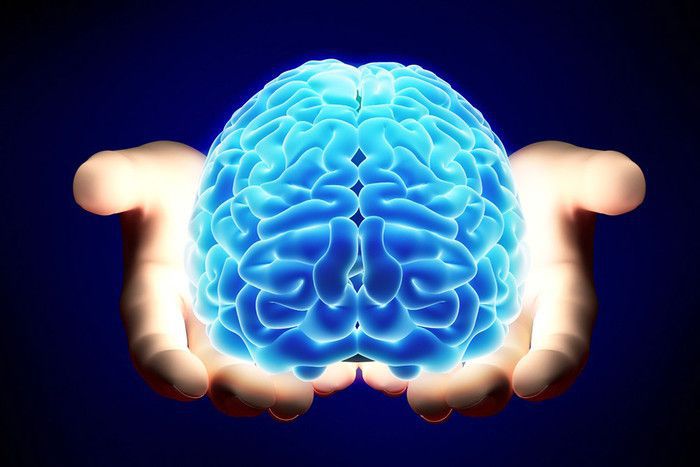 Нейробіологи виявили, що медитація допомагає мати зрілим людям мозок, як у молодих. Неврологія каже, що у 50-річних мізки можуть бути як у 25-річних.