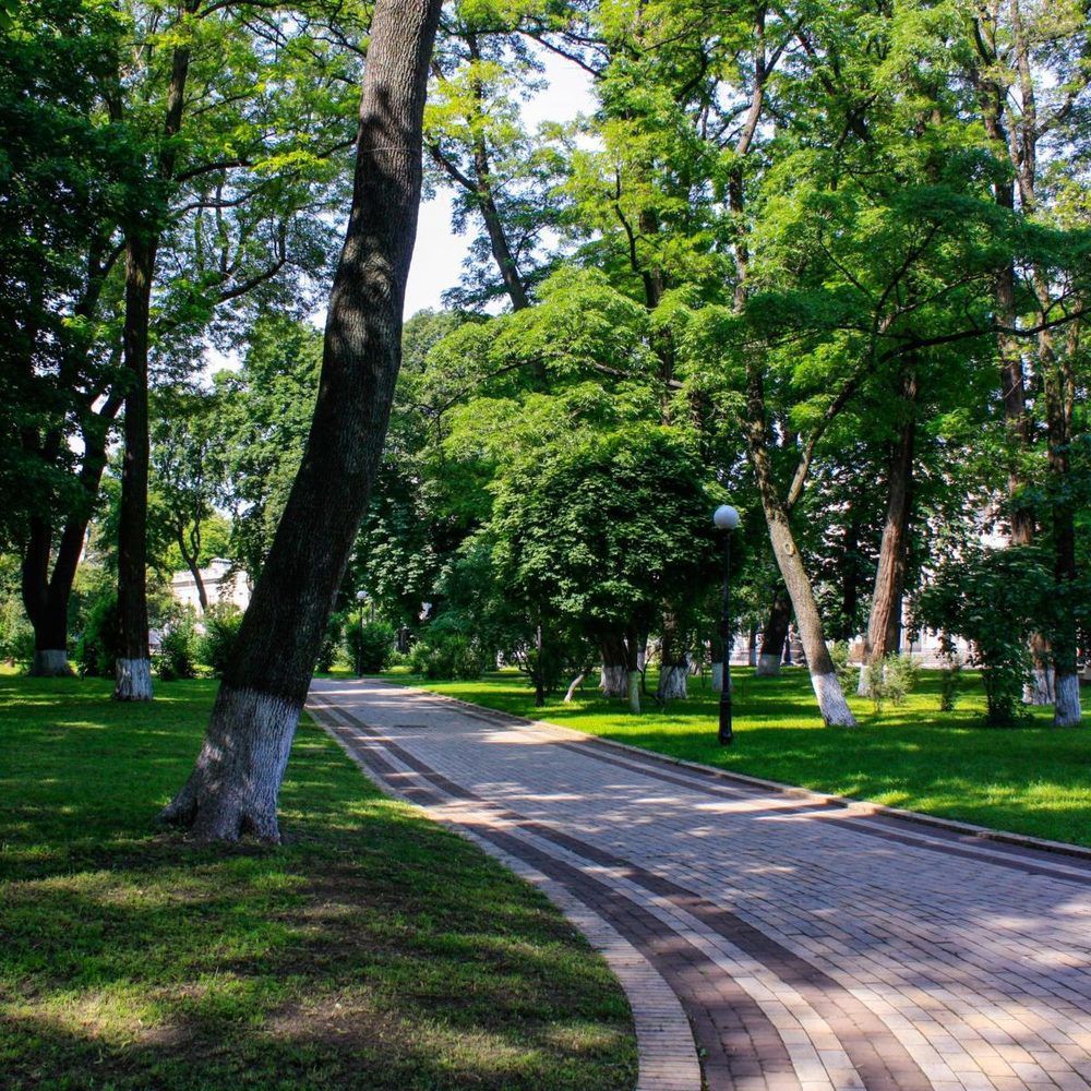 У Київському парку чоловік зґвалтував жінку на очах у її друзів і дочки. У столичному парку 30-річний киянин зґвалтував жінку.
