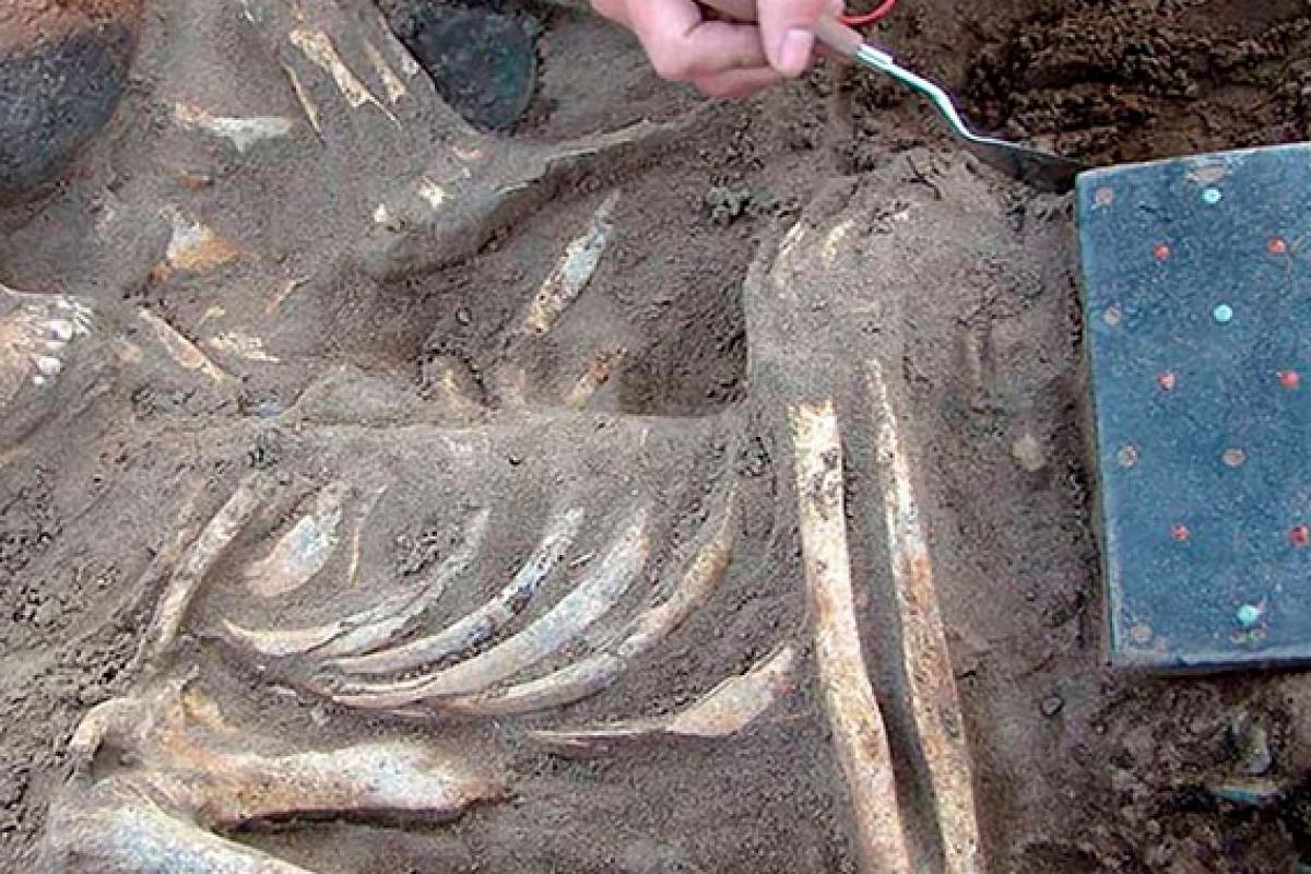 Археологи знайшли в Тиві «жіночий айфон» віком понад 2 тисяч років. При розкопках була виявлена древня прикраса, яка візуально нагадує сучасний iPhone.