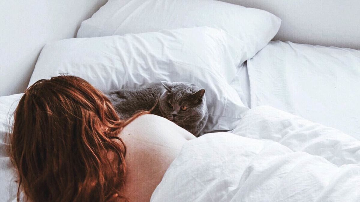 Ось що потрібно знати, якщо кішка спить разом з вами у ліжку