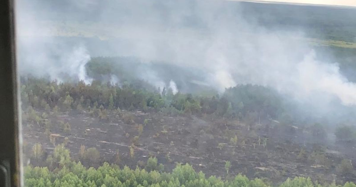 Пожежа під Чорнобилем: у ДСНС повідомили, що відкритого вогню немає. Відкритого вогню в лісі більше немає, але триває тління дерев. Пожежні тримають ситуацію під контролем.