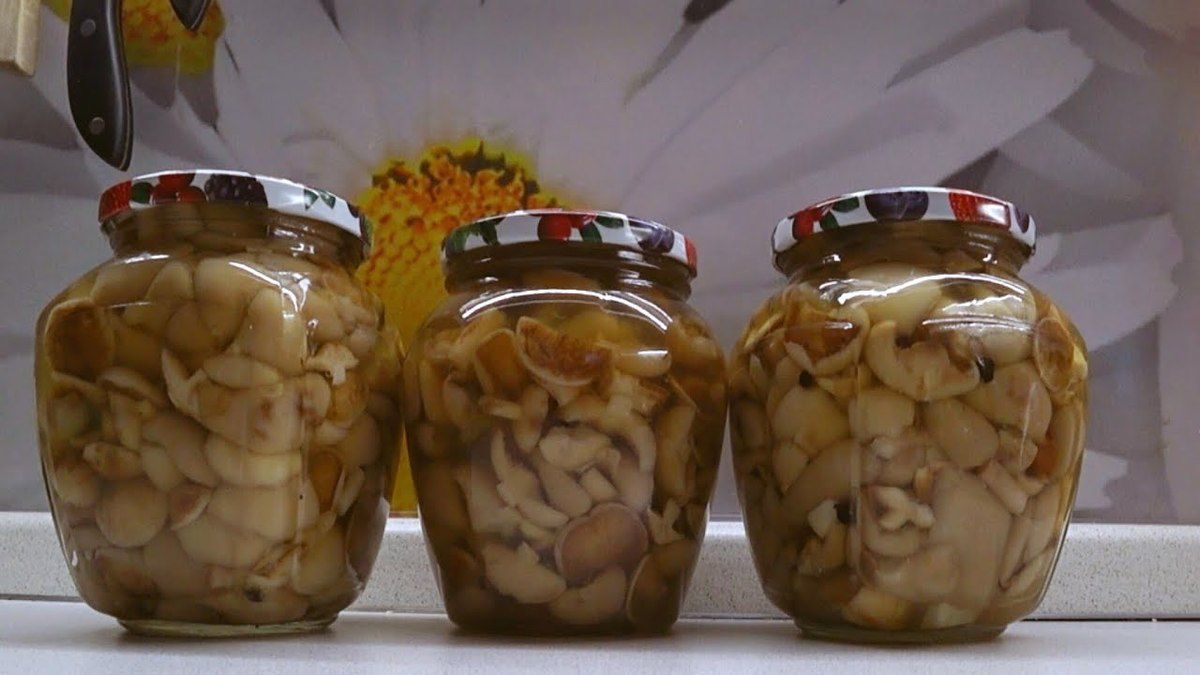 Оригінальний рецепт солоних маслюків з лляною олією. Яке зимове застілля може обійтися без баночки консервованих грибів?