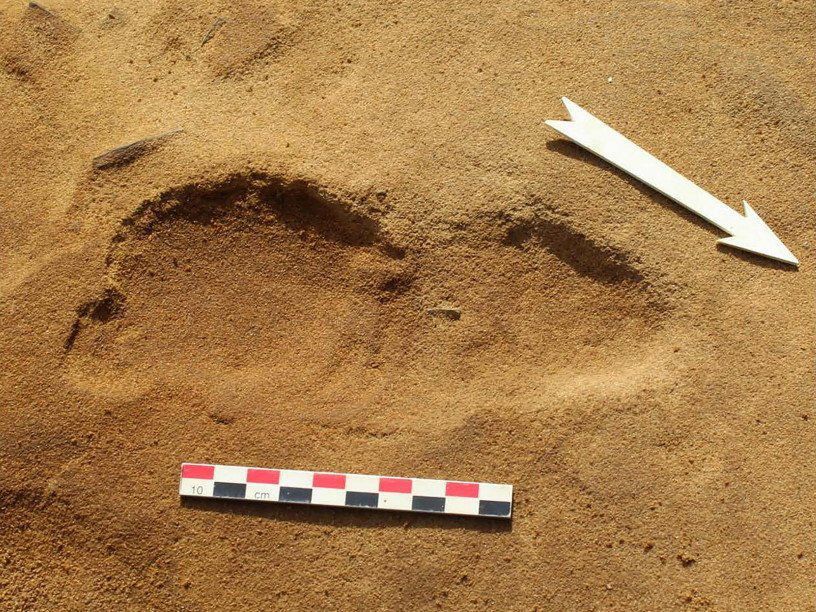 У Франції знайшли низку слідів неандертальців. Під час розкопок вчені знайшли 257 відбитків ступень, долонь і колін.