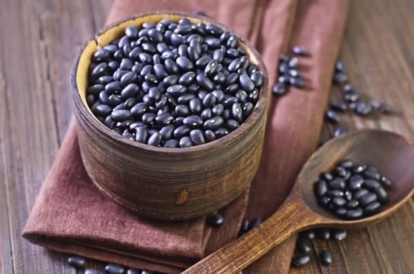 Чорні боби: навіщо вирощувати та яка їх користь. У свій час боби стали справжнім порятунком для простих селян у неврожайні роки.