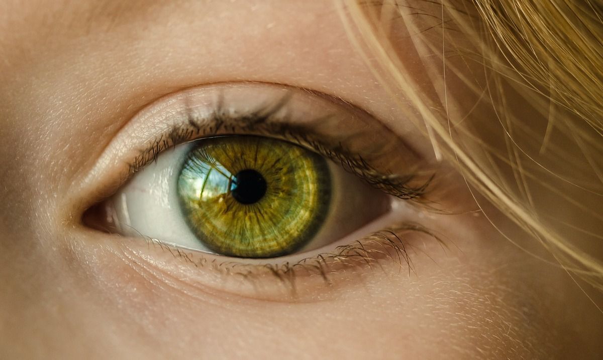 25 дивовижних фактів про очі. Не дарма кажуть, що очі — дзеркало душі. Це один з найважливіших органів, через який ми отримуємо 80% інформації про навколишній світ.